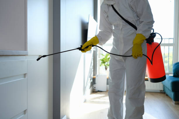 Water Damage Restoration in Toledo, IL