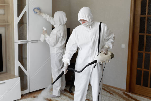 Best Crawl Space Mold Removal  in Toledo, IL
