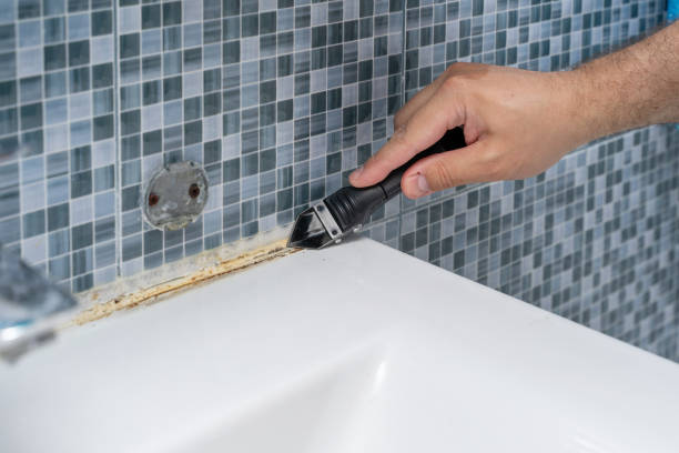 Best Water Damage Restoration  in Toledo, IL